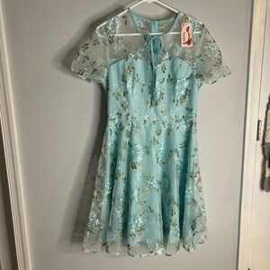 IWEMEK Light Blue Floral Embroidered Fit Flare Dress Large fairy princess garden